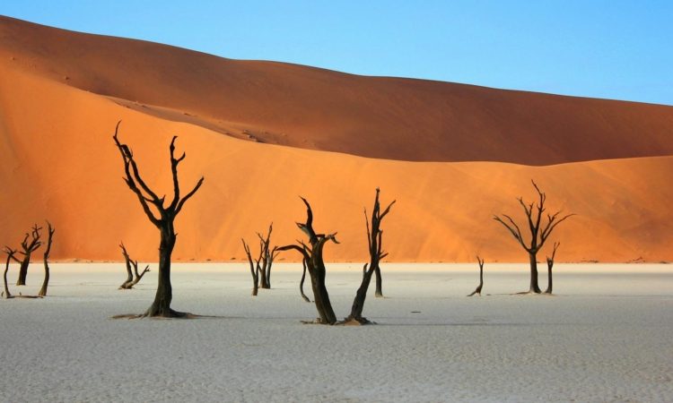 Deadvlei